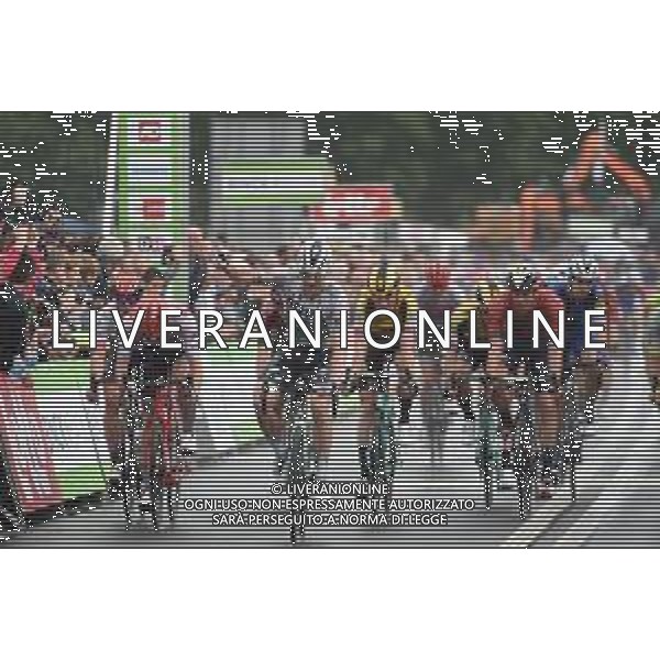 12-08-2019 Binckbank Tour; Tappa 01 Beveren - Hulst; 2019, Bora - Hansgrohe; Bennett, Sam; Hulst; ©SIROTTI / AGENZIA ALDO LIVERANI SAS