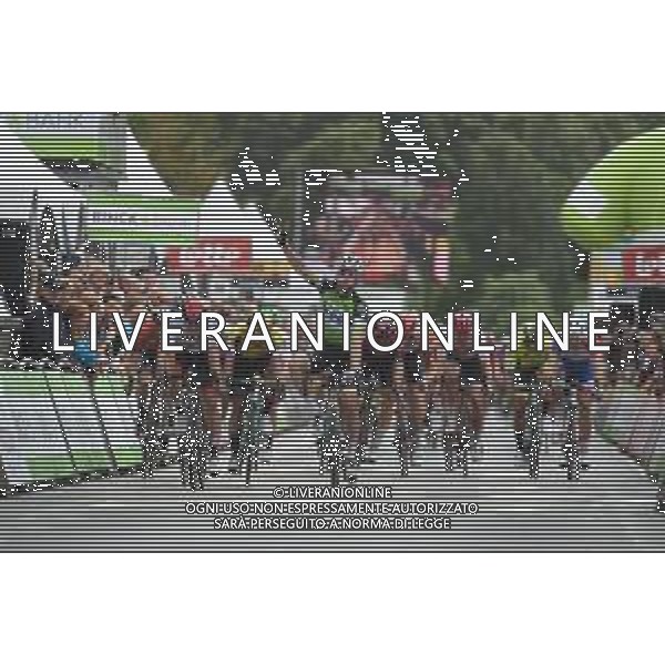 13-08-2019 Binckbank Tour; Tappa 02 Blankenberge - Ardooie; 2019, Bora - Hansgrohe; 2019, Uae - Emirates; Bennett, Sam; Philipsen, Jasper; Ardooie; ©SIROTTI / AGENZIA ALDO LIVERANI SAS