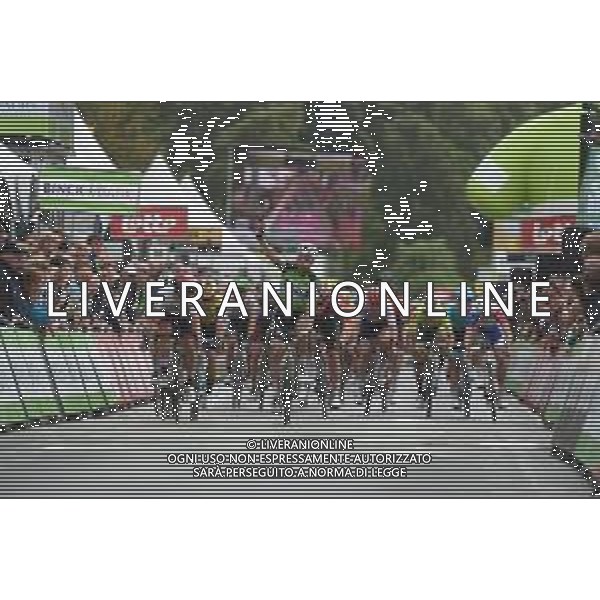 13-08-2019 Binckbank Tour; Tappa 02 Blankenberge - Ardooie; 2019, Bora - Hansgrohe; 2019, Uae - Emirates; Bennett, Sam; Philipsen, Jasper; Ardooie; ©SIROTTI / AGENZIA ALDO LIVERANI SAS