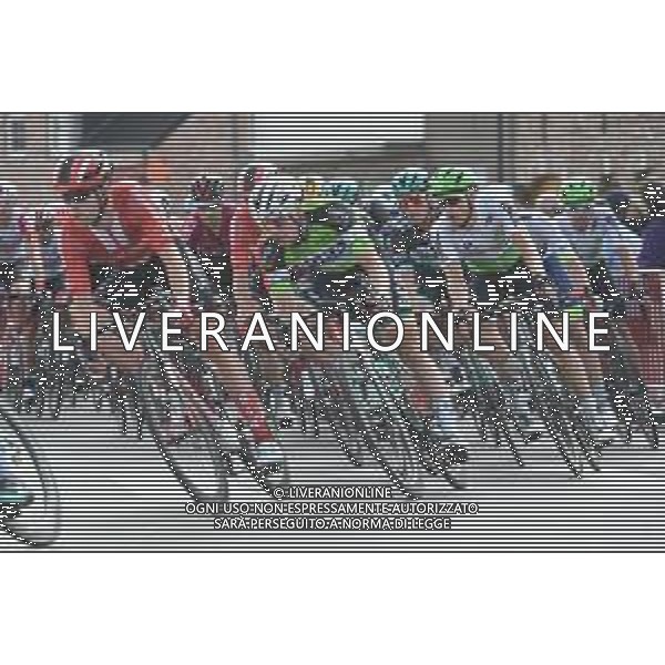 13-08-2019 Binckbank Tour; Tappa 02 Blankenberge - Ardooie; 2019, Bora - Hansgrohe; Bennett, Sam; Ardooie; ©SIROTTI / AGENZIA ALDO LIVERANI SAS