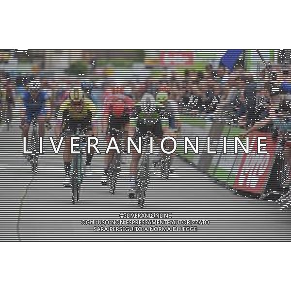 14-08-2019 Binckbank Tour; Tappa 03 Aalter - Aalter; 2019, Bora - Hansgrohe; 2019, Jumbo - Visma; Bennett, Sam; Groenewegen, Dylan; Aalter; FOTO STEFANO SIROTTI-AG ALDO LIVERANI SAS