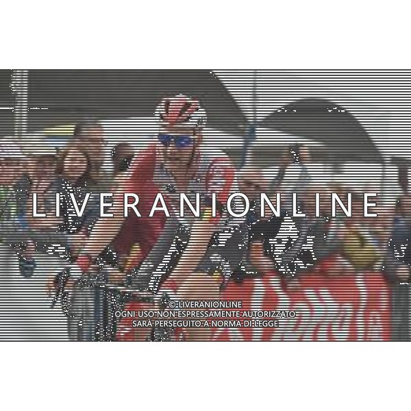 15-08-2019 Binckbank Tour; Tappa 04 Houffalize - Houffalize; 2019, Lotto - Soudal; Wellens, Tim; Houffalize; FOTO STEFANO SIROTTI-AG ALDO LIVERANI SAS