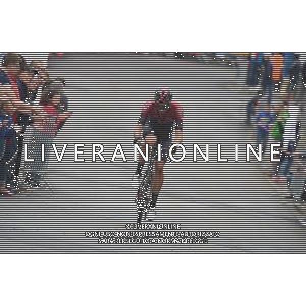 15-08-2019 Binckbank Tour; Tappa 04 Houffalize - Houffalize; 2019, Team Ineos; Ganna, Filippo; Cote De Saint Roch; FOTO STEFANO SIROTTI-AG ALDO LIVERANI SAS