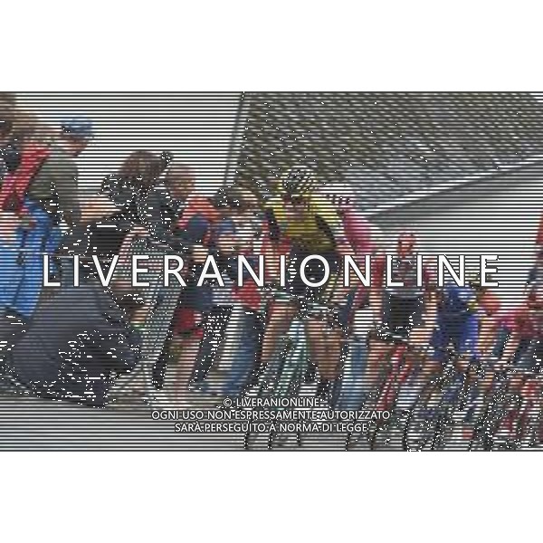 15-08-2019 Binckbank Tour; Tappa 04 Houffalize - Houffalize; 2019, Jumbo - Visma; De Plus, Laurens; Cote De Saint Roch; FOTO STEFANO SIROTTI-AG ALDO LIVERANI SAS