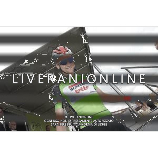 16-08-2019 Binckbank Tour; Tappa 05 Riemst - Venray; 2019, Lotto - Soudal; Wellens, Tim; Riemst; ©SIROTTI / AGENZIA ALDO LIVERANI SAS