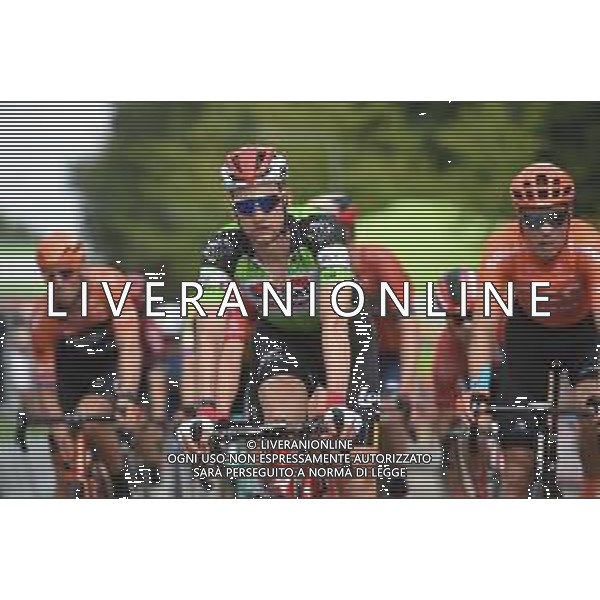 16-08-2019 Binckbank Tour; Tappa 05 Riemst - Venray; 2019, Lotto - Soudal; Wellens, Tim; Venray; ©SIROTTI / AGENZIA ALDO LIVERANI SAS