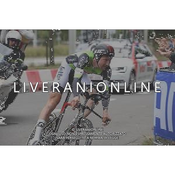 17-08-2019 Binckbank Tour; Tappa 06 Den Haag - Den Haag; 2019, Lotto - Soudal; Wellens, Tim; Den Haag; ©SIROTTI / AGENZIA ALDO LIVERANI SAS
