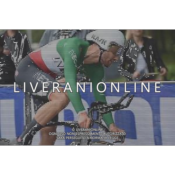 17-08-2019 Binckbank Tour; Tappa 06 Den Haag - Den Haag; 2019, Team Ineos; Ganna, Filippo; Den Haag; ©SIROTTI / AGENZIA ALDO LIVERANI SAS