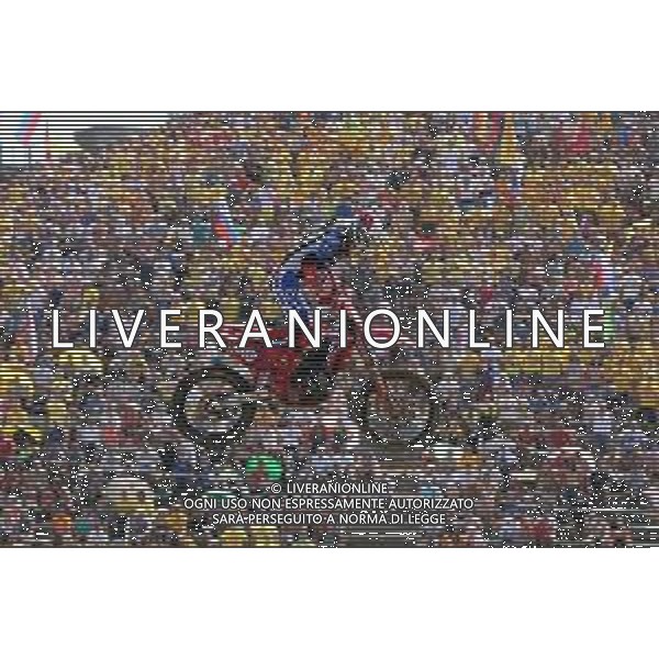 IMOLA 18 08 2019 MONDIALI DI MOTOCROSS MXGP GARA 1 GAJESER TIM CAMPIONE DEL MONDO NELLA FOTO TIM GAJSER FOTO GIANNI SANNA-AG ALDO LIVERANI SAS