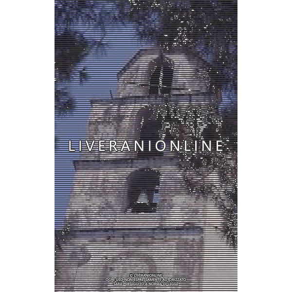 AMALFI-PANORAMICHE E VEDUTE DI AMALFI AG ALDO LIVERANI SAS