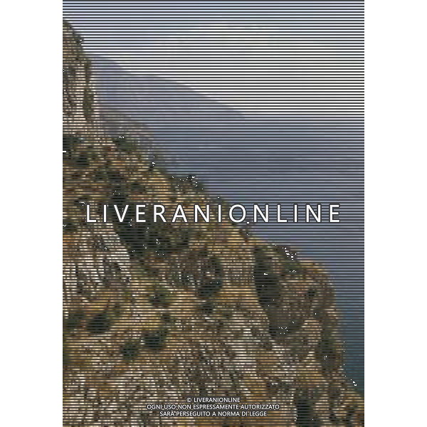 1980 AMALFI-COSTIERA AMALFITANA PANORAMICHE AG ALDO LIVERANI SAS