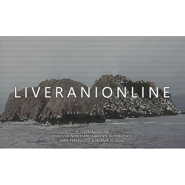 1980 AMALFI-SCOGLI LI GALLI AG ALDO LIVERANI SAS