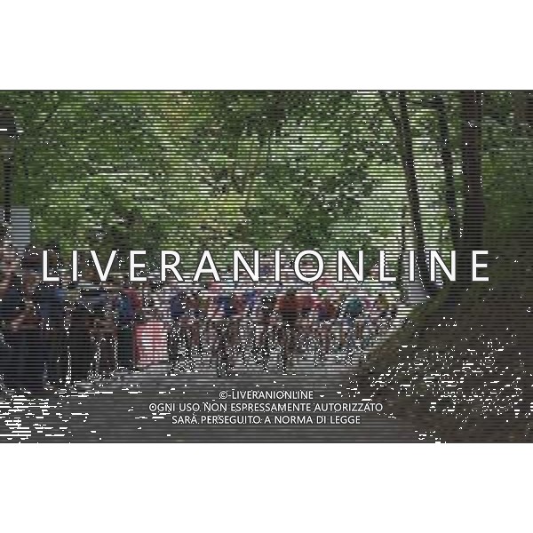 18-08-2019 Binckbank Tour; Tappa 07 Saint Pieters Leeuw - Geraardsbergen; 2019, Groupama - Fdj; 2019, Ccc Team; Demare, Arnaud; Kung, Stefan; Van Avermaet, Greg; Muro Di Grammont; ©SIROTTI / AGENZIA ALDO LIVERANI SAS