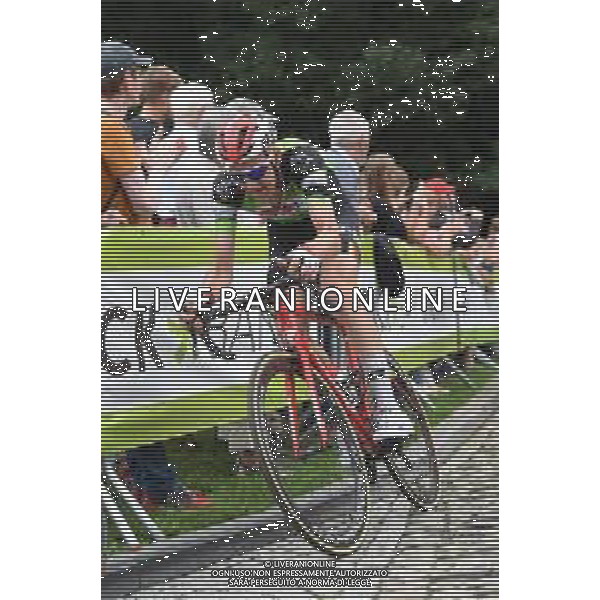 18-08-2019 Binckbank Tour; Tappa 07 Saint Pieters Leeuw - Geraardsbergen; 2019, Sunweb; Wellens, Tim; Muro Di Grammont; ©SIROTTI / AGENZIA ALDO LIVERANI SAS