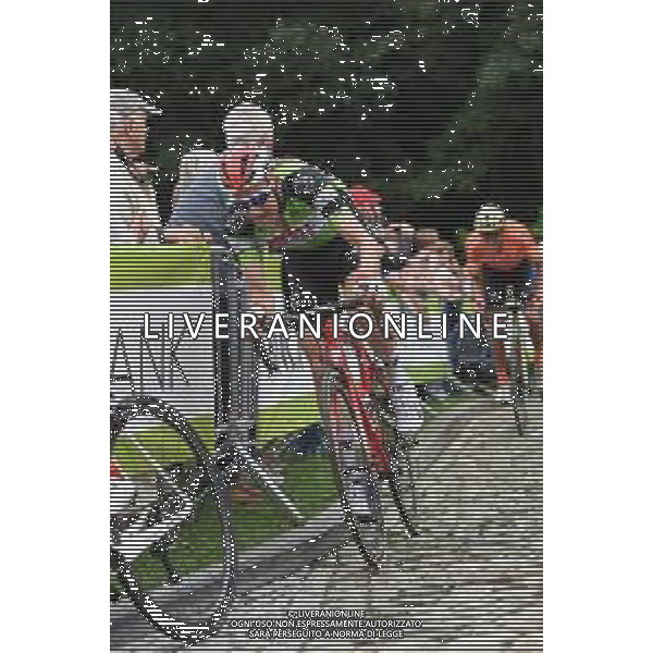 18-08-2019 Binckbank Tour; Tappa 07 Saint Pieters Leeuw - Geraardsbergen; 2019, Sunweb; Wellens, Tim; Muro Di Grammont; ©SIROTTI / AGENZIA ALDO LIVERANI SAS
