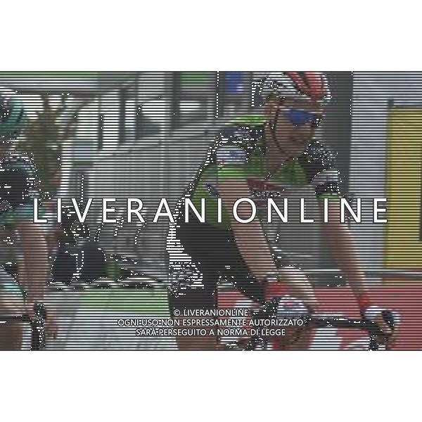 18-08-2019 Binckbank Tour; Tappa 07 Saint Pieters Leeuw - Geraardsbergen; 2019, Lotto - Soudal; Wellens, Tim; Geraardsbergen; ©SIROTTI / AGENZIA ALDO LIVERANI SAS