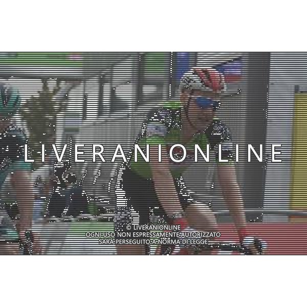 18-08-2019 Binckbank Tour; Tappa 07 Saint Pieters Leeuw - Geraardsbergen; 2019, Lotto - Soudal; Wellens, Tim; Geraardsbergen; ©SIROTTI / AGENZIA ALDO LIVERANI SAS