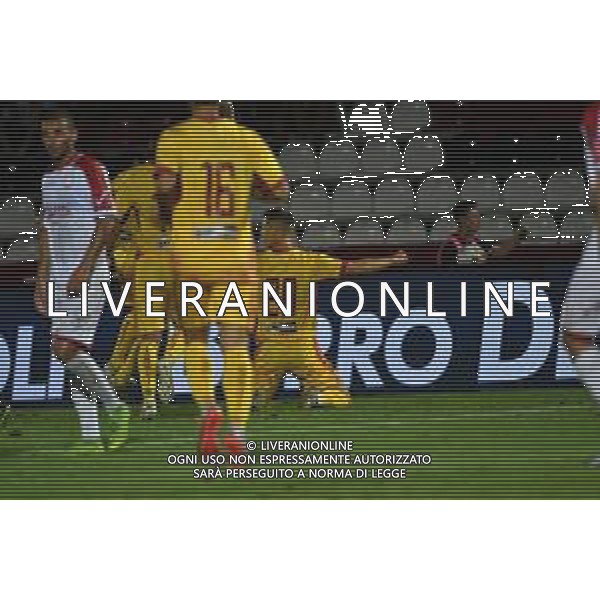 Cittadella (PD), Italia, 18 Agosto 2019, stadio "Tombolato", III° turno eliminatorio Tim Cup 2019/2020, incontro tra le squadre del Cittadella e del Carpi, nella foto:Zan Celar 20 della AS Cittadella esulta dopo il goal ©alessio marini / AGENZIA ALDO LIVERANI SAS