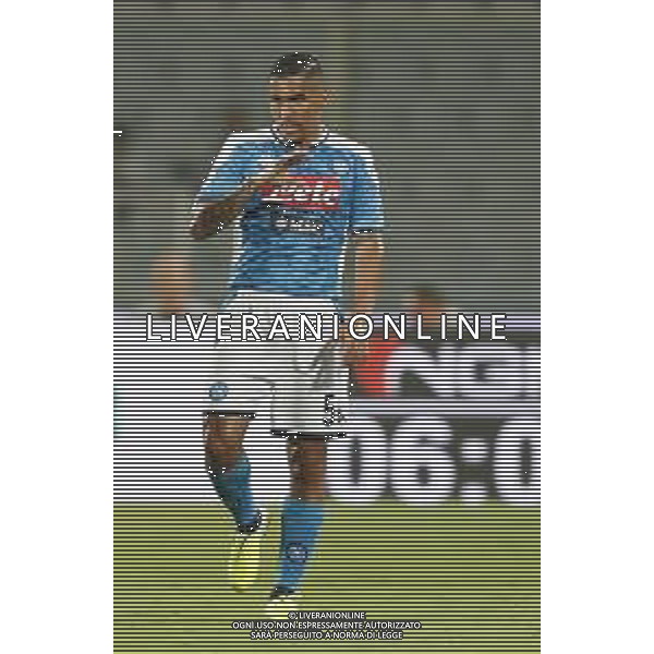 Fiorentina - Napoli Campionato di Calcio Serie A 24/08/2019 nella foto: Allan Marques Loureiro(ssc napoli) ©Claudio Zamagni/Agenzia Aldo Liverani Allan Marques Loureiro(ssc napoli) during Italian Serie A TIM soccer match between Fiorentina and Napoli at Artemio Franchi Stadium in Florence on August 24 2019 photo credit by Claudio Zamagni/Aldo Liverani Photo Agency