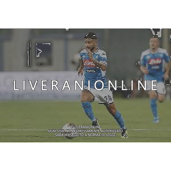 Fiorentina - Napoli Campionato di Calcio Serie A 24/08/2019 nella foto: Insigne Lorenzo(ssc napoli) ©Claudio Zamagni/Agenzia Aldo Liverani Insigne Lorenzo(ssc napoli) during Italian Serie A TIM soccer match between Fiorentina and Napoli at Artemio Franchi Stadium in Florence on August 24 2019 photo credit by Claudio Zamagni/Aldo Liverani Photo Agency