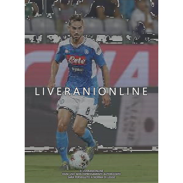 Fiorentina - Napoli Campionato di Calcio Serie A 24/08/2019 nella foto: Fabian Ruiz(ssc napoli) ©Claudio Zamagni/Agenzia Aldo Liverani Fabian Ruiz(ssc napoli) during Italian Serie A TIM soccer match between Fiorentina and Napoli at Artemio Franchi Stadium in Florence on August 24 2019 photo credit by Claudio Zamagni/Aldo Liverani Photo Agency