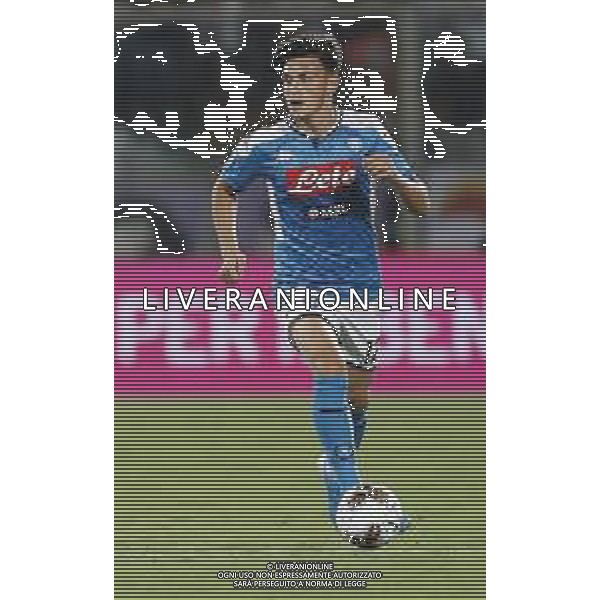 Fiorentina - Napoli Campionato di Calcio Serie A 24/08/2019 nella foto: Elmas Eljif(ssc napoli) ©Claudio Zamagni/Agenzia Aldo Liverani Elmas Eljif(ssc napoli) during Italian Serie A TIM soccer match between Fiorentina and Napoli at Artemio Franchi Stadium in Florence on August 24 2019 photo credit by Claudio Zamagni/Aldo Liverani Photo Agency