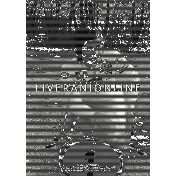 RETROSPETTIVA GIACOMO AGOSTINI PILOTA MOTOCICLISMO NELLA FOTO GIACOMO AGOSTINI NELL\'ANNO 1972 A CASCINA COSTA AG ALDO LIVERANI SAS