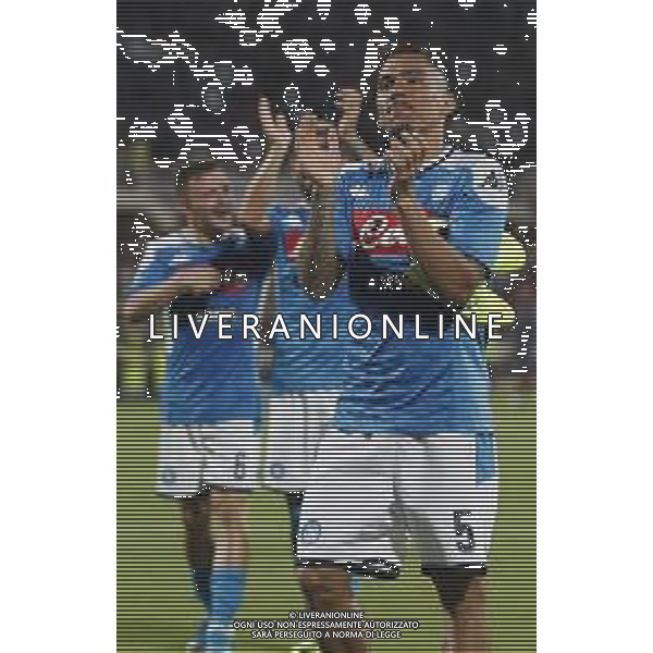 Fiorentina - Napoli Campionato di Calcio Serie A 24/08/2019 nella foto: Allan Marques Loureiro(ssc napoli) ©Claudio Zamagni/Agenzia Aldo Liverani Allan Marques Loureiro(ssc napoli) during Italian Serie A TIM soccer match between Fiorentina and Napoli at Artemio Franchi Stadium in Florence on August 24 2019 photo credit by Claudio Zamagni/Aldo Liverani Photo Agency