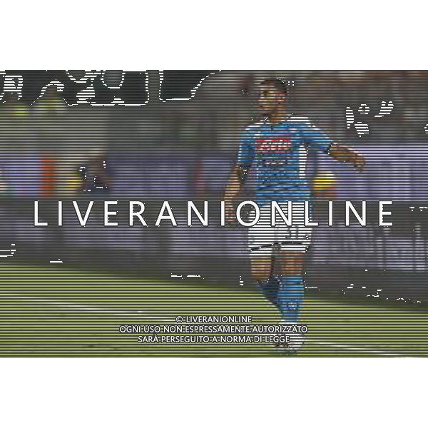 Fiorentina - Napoli Campionato di Calcio Serie A 24/08/2019 nella foto: Ghoulam Faouzi (ssc napoli) ©Claudio Zamagni/Agenzia Aldo Liverani Ghoulam Faouzi (ssc napoli) during Italian Serie A TIM soccer match between Fiorentina and Napoli at Artemio Franchi Stadium in Florence on August 24 2019 photo credit by Claudio Zamagni/Aldo Liverani Photo Agency