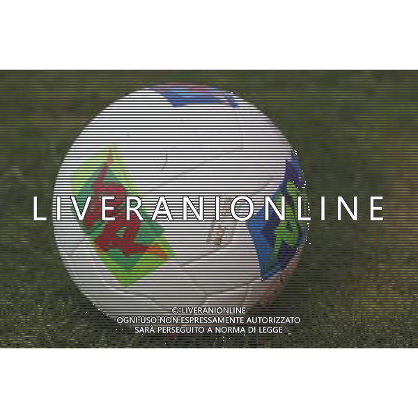 Empoli - Juve Stabia Serie BKT 25/08/2019 nella foto: un pallone da calcio ©Claudio Zamagni/Agenzia Aldo Liverani a ball of soccer during Italian Serie BKT soccer match between Empoli and Juve Stabia at Carlo Castellani Stadium in Empoli on August 25 2019 photo credit by Claudio Zamagni/Aldo Liverani Photo Agency