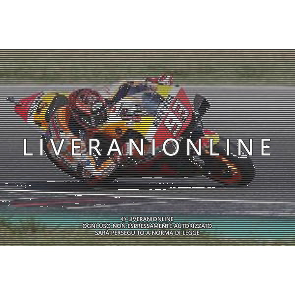 MISANO 29/08/2019 - MOTOGP Test Ufficiali al Misano world Circuit Marco Simoncelli. nella foto: Marc Marquez (REPSOL HONDA TEAM) ©Claudio Zamagni/Agenzia Aldo Liverani Marc Marquez (REPSOL HONDA TEAM) during MotoGP Official Test at Misano World Circuit Marco Simoncelli photo credit by Claudio Zamagni/Aldo Liverani Photo Agency