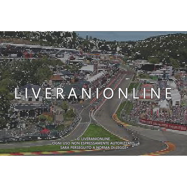 Max Verstappen (NLD) Red Bull Racing RB15. 30.08.2019. Formula 1 World Championship, Rd 13, Belgian Grand Prix, Spa Francorchamps, Belgium, Practice Day. AG ALDO LIVERANI SAS-ONLY ITALY