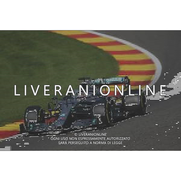 Lewis Hamilton (GBR), Mercedes AMG F1 30.08.2019. Formula 1 World Championship, Rd 13, Belgian Grand Prix, Spa Francorchamps, Belgium, Practice Day. AG ALDO LIVERANI SAS-ONLY ITALY