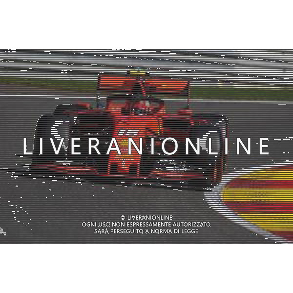 Charles Leclerc (MON) Ferrari SF90. 30.08.2019. Formula 1 World Championship, Rd 13, Belgian Grand Prix, Spa Francorchamps, Belgium, Practice Day. AG ALDO LIVERANI SAS-ONLY ITALY