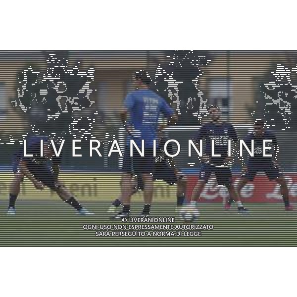 BOLOGNA 02/09/2019 Raduno e Allenamento della Nazionale Italiana di Calcio prima delle partite di qualificazione per gli europei 2020 contro Armenia e Finlandia - nella foto: stefano sensi ©Claudio Zamagni/Agenzia Aldo Liverani s.a.s. stefano sensi during the training before matches of European Qualifiers Euro 2020 between Italy Armenya - Italy and Finland - Italy photo credit by Claudio Zamagni/Agenzia Aldo Liverani s.a.s. / AGENZIA ALDO LIVERANI SAS