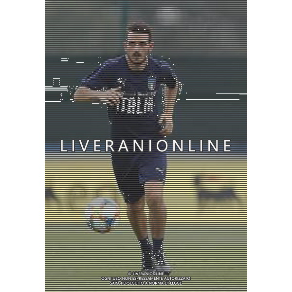 BOLOGNA 02/09/2019 Raduno e Allenamento della Nazionale di Calcio prima delle partite di qualificazione per gli europei 2020 contro Armenia e Finlandia - nella foto: Florenzi Alessandro (a.s.roma) ©Claudio Zamagni/Agenzia Aldo Liverani s.a.s. Florenzi Alessandro (a.s.roma) during the training before matches of European Qualifiers Euro 2020 between Italy Armenya - Italy and Finland - Italy photo credit by Claudio Zamagni/Agenzia Aldo Liverani s.a.s.