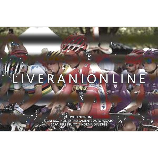 04-09-2019 Vuelta A Espana; Tappa 11 Saint Palais - Urdax; 2019, Jumbo - Visma; Roglic, Primoz; Saint Palais; ©SIROTTI / AGENZIA ALDO LIVERANI SAS