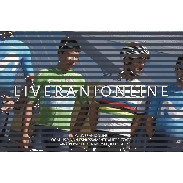 04-09-2019 Vuelta A Espana; Tappa 11 Saint Palais - Urdax; 2019, Movistar; Quintana Rojas Nairo, Alexander; Valverde, Alejandro; Saint Palais; ©SIROTTI / AGENZIA ALDO LIVERANI SAS