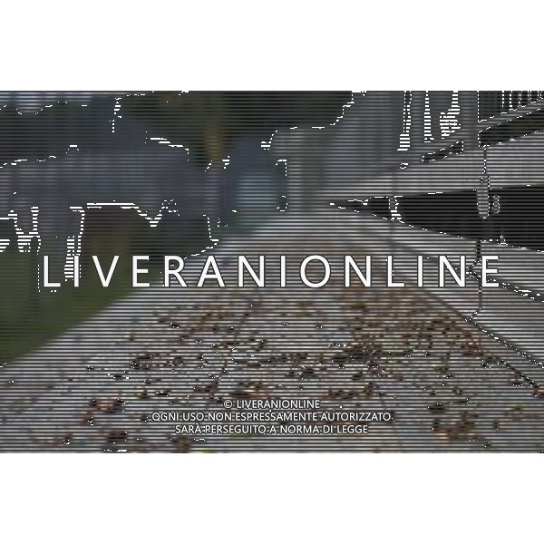 Track Atmosphere 05.09.2019. Formula 1 World Championship, Rd 14, Italian Grand Prix, Monza, Italy, Preparation Day. AG ALDO LIVERANI SAS-ONLY ITALY