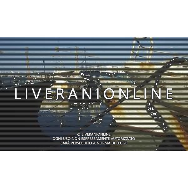 1990 MAZZARA DEL VALLO NELLA FOTO IMBACAZIONI PESCHERECCI A MAZZARA DEL VALLO AG ALDO LIVERANI SAS