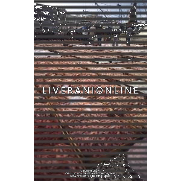 1990 MAZZARA DEL VALLO NELLA FOTO MERCATO DEL PESCE AL PORTO AG ALDO LIVERANI SAS