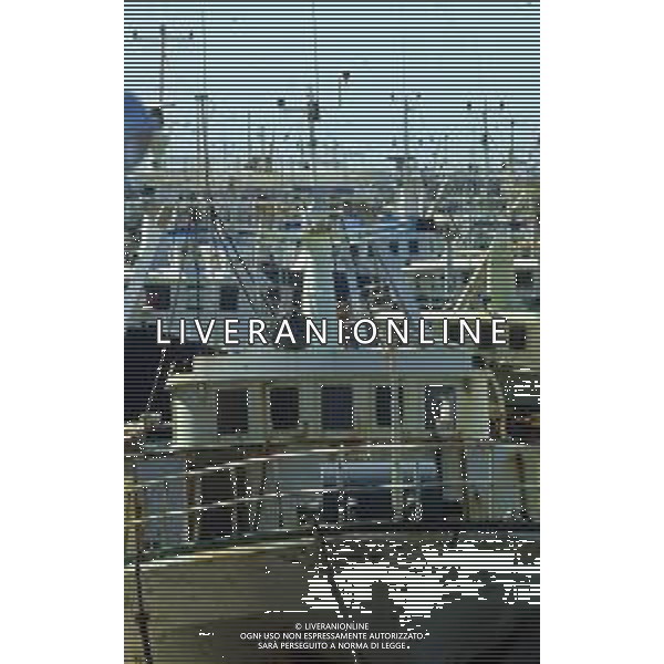 1990 MAZZARA DEL VALLO NELLA FOTO IMBACAZIONI PESCHERECCI A MAZZARA DEL VALLO AG ALDO LIVERANI SAS