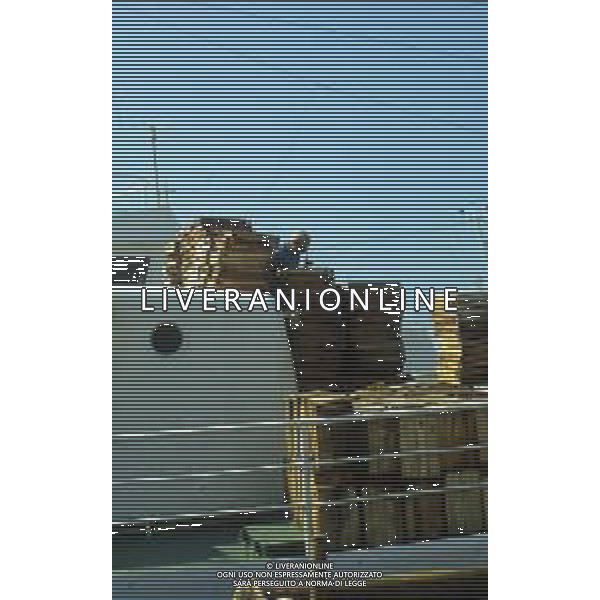 1990 MAZZARA DEL VALLO NELLA FOTO IMBACAZIONI PESCHERECCI A MAZZARA DEL VALLO AG ALDO LIVERANI SAS