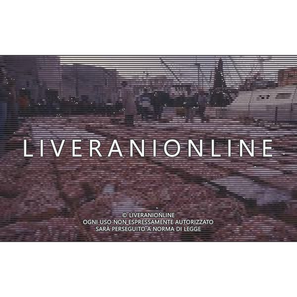 1990 MAZZARA DEL VALLO NELLA FOTO MERCATO DEL PESCE AL PORTO AG ALDO LIVERANI SAS