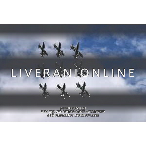 FRECCE TRICOLORI AL GP DI MONZA 2019 08.09.2019. Formula 1 World Championship, Rd 14, Italian Grand Prix, Monza, Italy, Race Day. AG ALDO LIVERANI SAS-ONLY ITALY