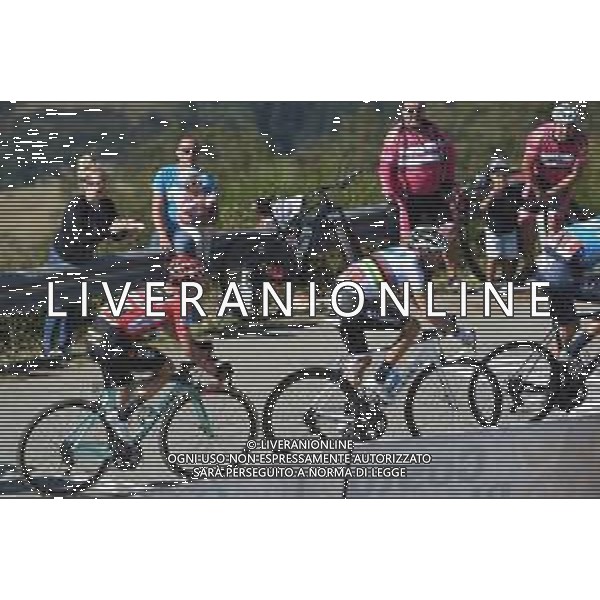 08-09-2019 Vuelta A Espana; Tappa 15 Tineo - Santuario Del Acebo; 2019, Movistar; 2019, Jumbo - Visma; Valverde, Alejandro; Roglic, Primoz; Puerto Del Acebo; ©SIROTTI / AGENZIA ALDO LIVERANI SAS