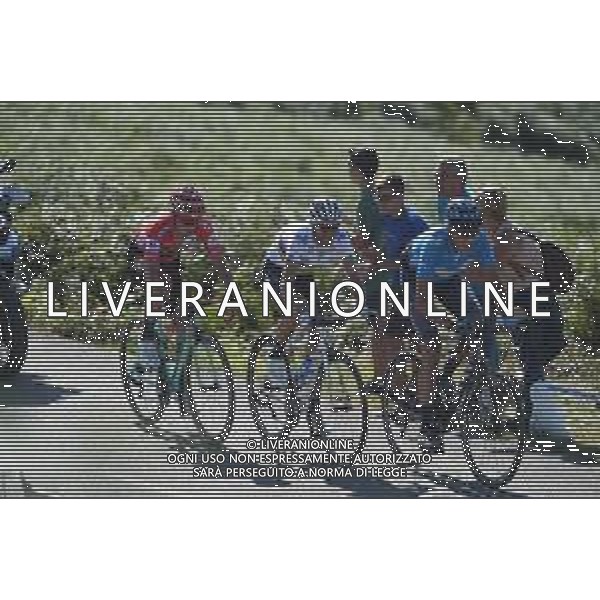08-09-2019 Vuelta A Espana; Tappa 15 Tineo - Santuario Del Acebo; 2019, Movistar; 2019, Jumbo - Visma; Soler, Marc; Valverde, Alejandro; Roglic, Primoz; Puerto Del Acebo; ©SIROTTI / AGENZIA ALDO LIVERANI SAS