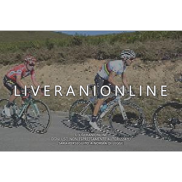 08-09-2019 Vuelta A Espana; Tappa 15 Tineo - Santuario Del Acebo; 2019, Movistar; 2019, Jumbo - Visma; Valverde, Alejandro; Roglic, Primoz; Puerto Del Acebo; ©SIROTTI / AGENZIA ALDO LIVERANI SAS