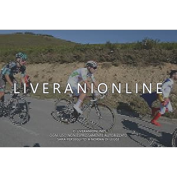 08-09-2019 Vuelta A Espana; Tappa 15 Tineo - Santuario Del Acebo; 2019, Uae - Emirates; Pogacar, Tadej; Puerto Del Acebo; ©SIROTTI / AGENZIA ALDO LIVERANI SAS