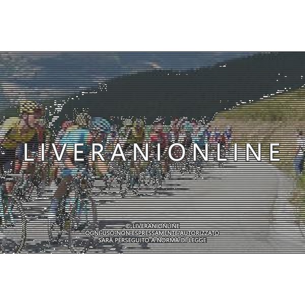 08-09-2019 Vuelta A Espana; Tappa 15 Tineo - Santuario Del Acebo; 2019, Jumbo - Visma; Gesink, Robert; Roglic, Primoz; Puerto Del Acebo; ©SIROTTI / AGENZIA ALDO LIVERANI SAS